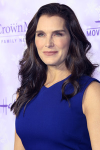 Hallmark Channel Winter 2016 TCA Press Tour in Pasadena