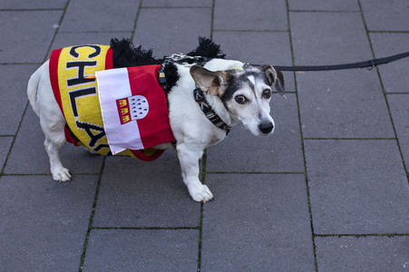 Pegida Demo in Köln