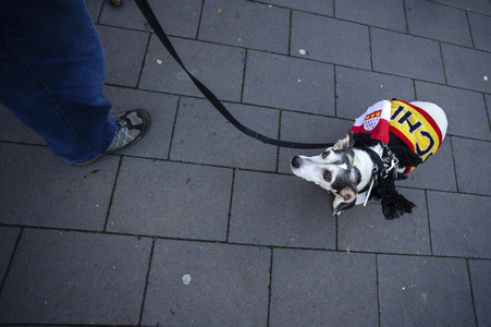 Pegida Demo in Köln