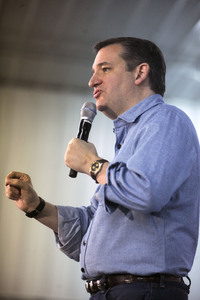 Wahlkampfrede von Ted Cruz