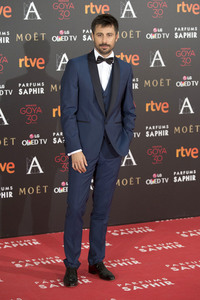 Premios Goya 2016 in Madrid