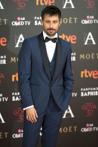 Premios Goya 2016 in Madrid