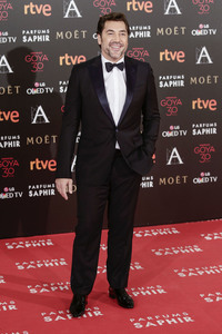 Premios Goya 2016 in Madrid