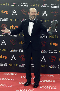 Premios Goya 2016 in Madrid