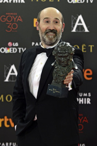 Premios Goya 2016 in Madrid
