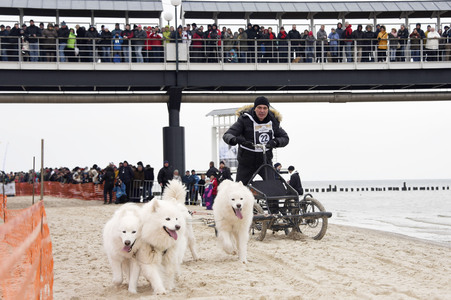 Baltic Lights 2016 auf Usedom