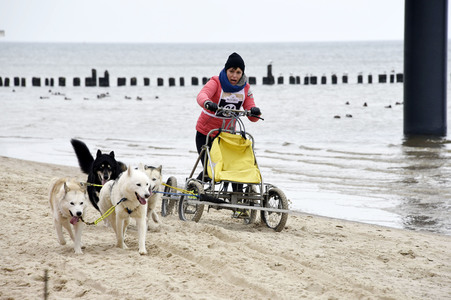 Baltic Lights 2016 auf Usedom