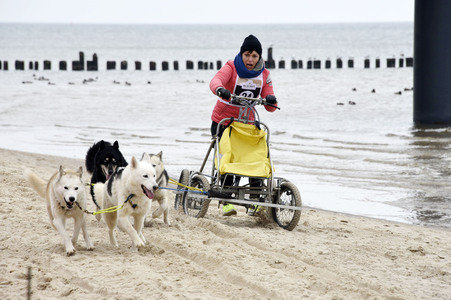 Baltic Lights 2016 auf Usedom
