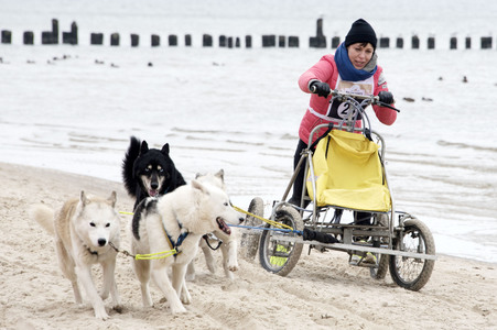 Baltic Lights 2016 auf Usedom