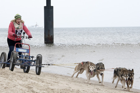 Baltic Lights 2016 auf Usedom