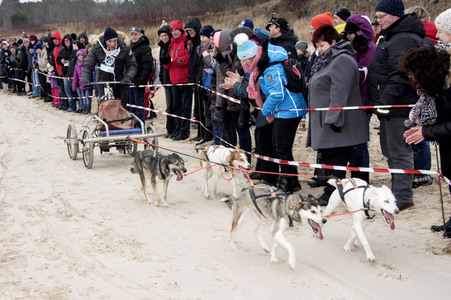 Baltic Lights 2016 auf Usedom