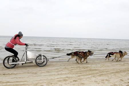 Baltic Lights 2016 auf Usedom
