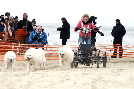 Baltic Lights 2016 auf Usedom