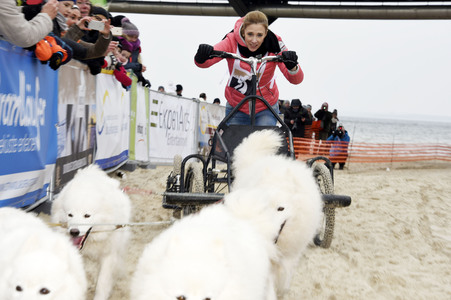 Baltic Lights 2016 auf Usedom