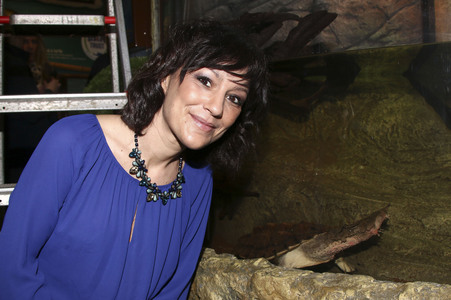 Eröffnung der Sonderausstellung 'Abenteuer Schildkröte' im Sealife Timmendorfer Strand