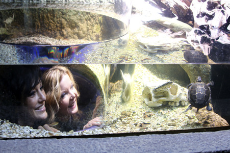 Eröffnung der Sonderausstellung 'Abenteuer Schildkröte' im Sealife Timmendorfer Strand