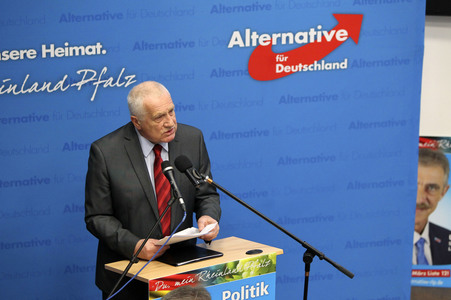 Afd Wahlkampf-Abschlussveranstaltung in Neuwied