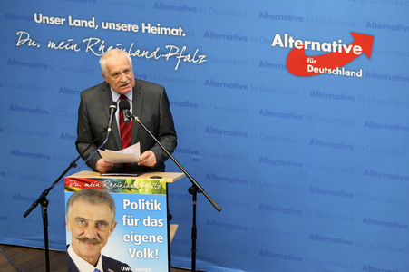 Afd Wahlkampf-Abschlussveranstaltung in Neuwied