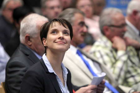 Afd Wahlkampf-Abschlussveranstaltung in Neuwied