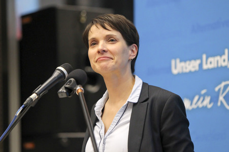 Afd Wahlkampf-Abschlussveranstaltung in Neuwied