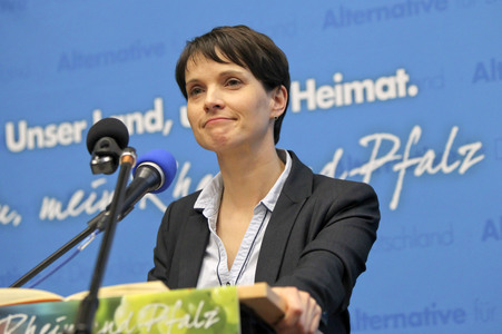 Afd Wahlkampf-Abschlussveranstaltung in Neuwied
