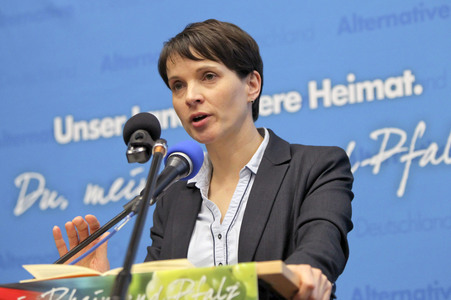 Afd Wahlkampf-Abschlussveranstaltung in Neuwied