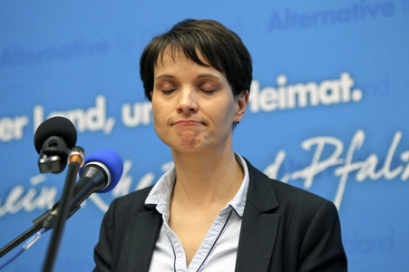 Afd Wahlkampf-Abschlussveranstaltung in Neuwied