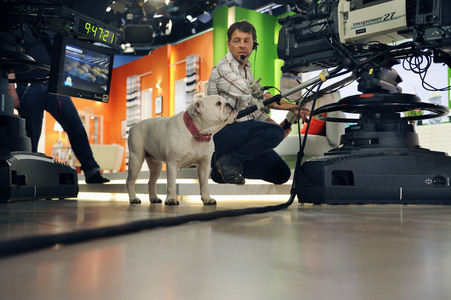 Photoshooting mit Studiohund Lotte in Berlin
