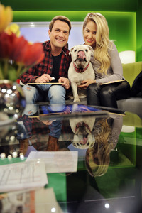 Photoshooting mit Studiohund Lotte in Berlin