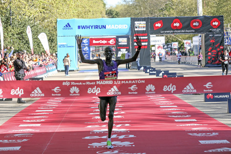 EDP Rock 'n' Roll Madrid Maratón in Madrid