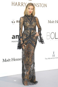 amfAR's Cinema Against Aids Gala, Cannes Film Festival 2016