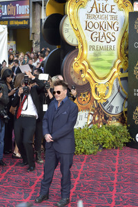 Filmpremiere 'Alice im Wunderland: Hinter den Spiegeln' in Los Angeles