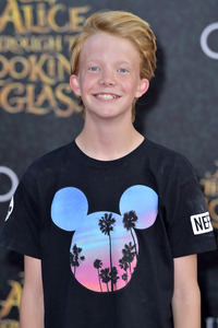 Filmpremiere 'Alice im Wunderland: Hinter den Spiegeln' in Los Angeles