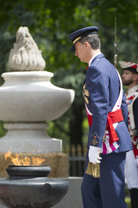 Armed Forces Day in Madrid