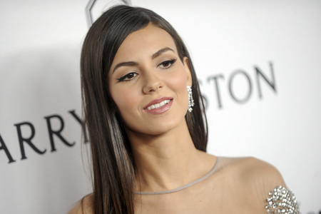 7. amfAR Inspiration Gala New York
