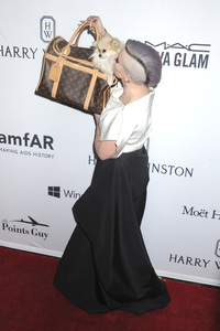 7. amfAR Inspiration Gala New York