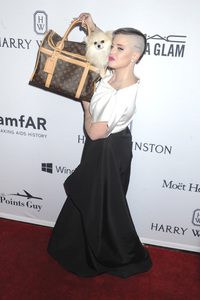 7. amfAR Inspiration Gala New York