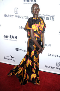 7. amfAR Inspiration Gala New York