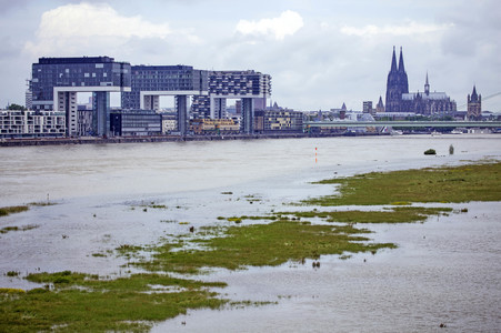 Hochwasser am Rhein
