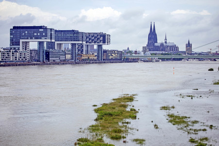 Hochwasser am Rhein