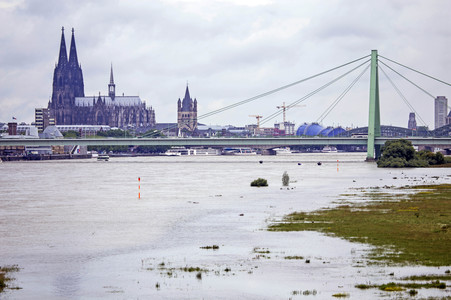 Hochwasser am Rhein