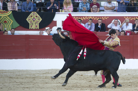 Stierkampf in Torrejón de Ardoz