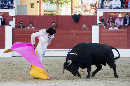 Stierkampf in Torrejón de Ardoz
