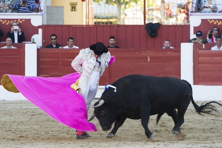 Stierkampf in Torrejón de Ardoz