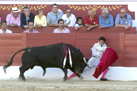 Stierkampf in Torrejón de Ardoz