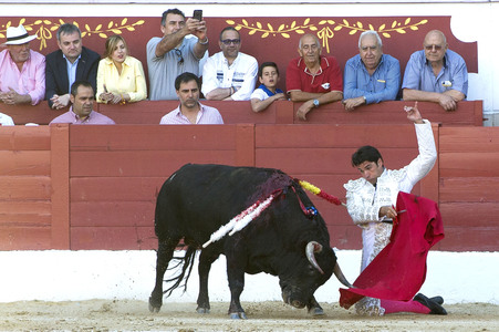 Stierkampf in Torrejón de Ardoz