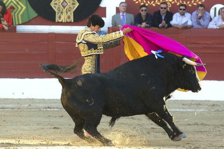 Stierkampf in Torrejón de Ardoz