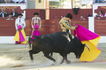 Stierkampf in Torrejón de Ardoz