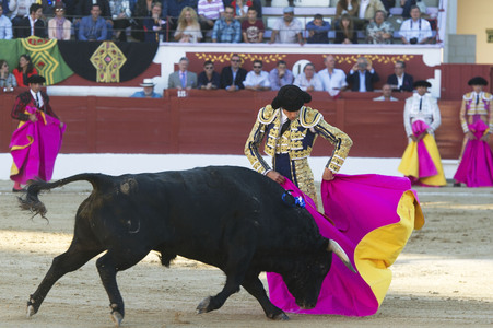 Stierkampf in Torrejón de Ardoz