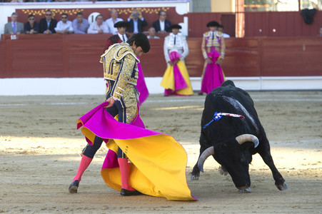 Stierkampf in Torrejón de Ardoz